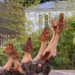 Sculpture de champignons  à la tronçonneuse