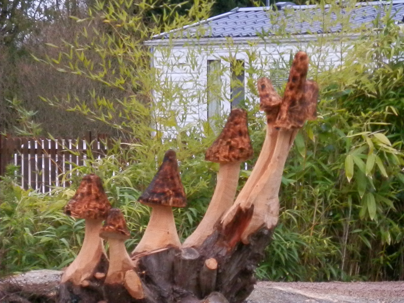 Sculpture de champignons à la tronçonneuse
