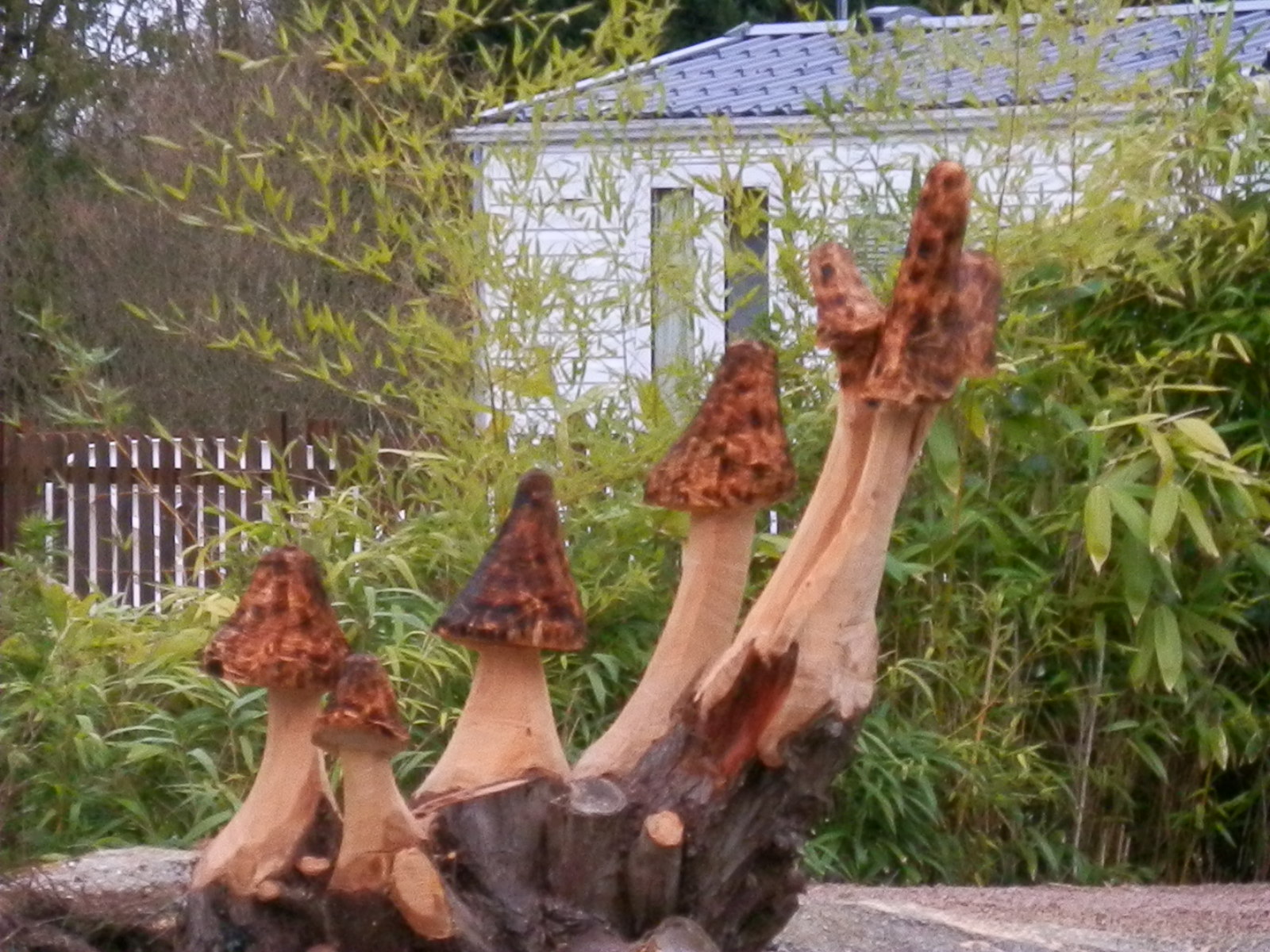 Champignons de(s) bois  Champignon, Bois, Sculpture à la tronçonneuse