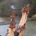 sculpture à la tronçonneuse de champignons