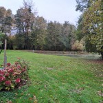 Très grand emplacement avec étang privé